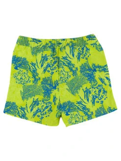 Regatta Badeshorts In Grün/ Bunt