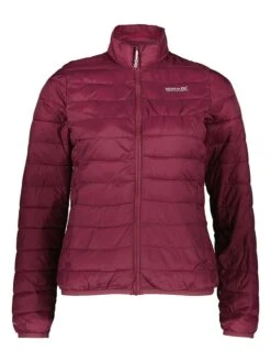 Regatta Funktionsjacke In Bordeaux