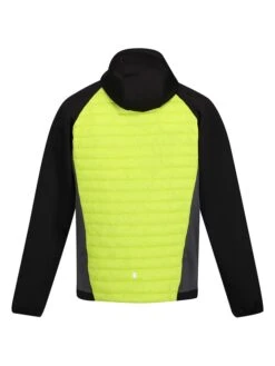Regatta -Regatta regatta hybridjacke andresonvii in gelb 1