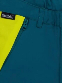 Regatta Shorts In Dunkelgrün/ Gelb -Regatta regatta shorts in dunkelgrun gelb 2