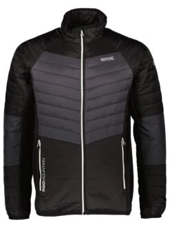 Regatta Steppjacke In Schwarz/ Anthrazit